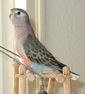 Friedlich, aber interessiert