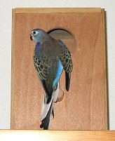 Kunibert verunsichert