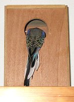 Kunibert guckt in den Kasten