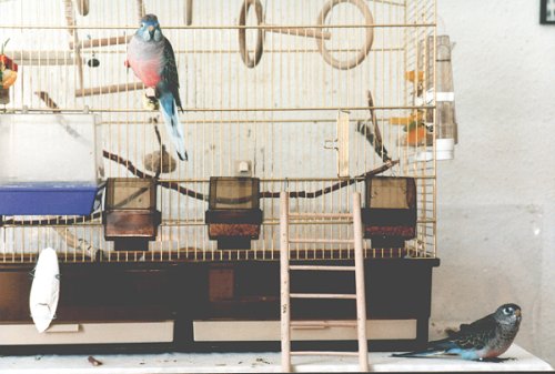 Kunibert und Katharina vor der Vogelvilla