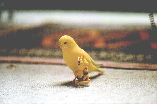 Kasimir mit Lieblingsspielzeug