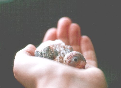 Samstag noch ziemlich kahl