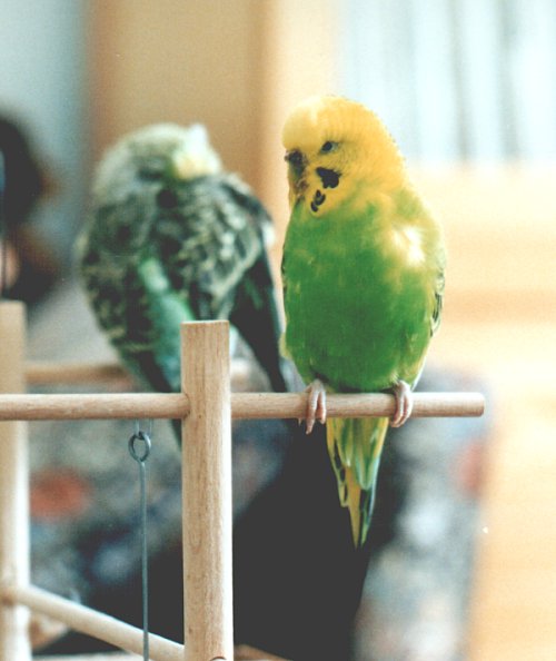 Samstag in voller Pracht