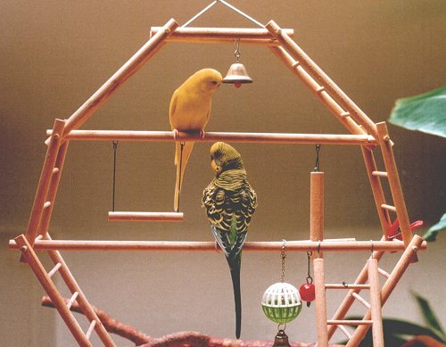 Kasimir und Hannibal