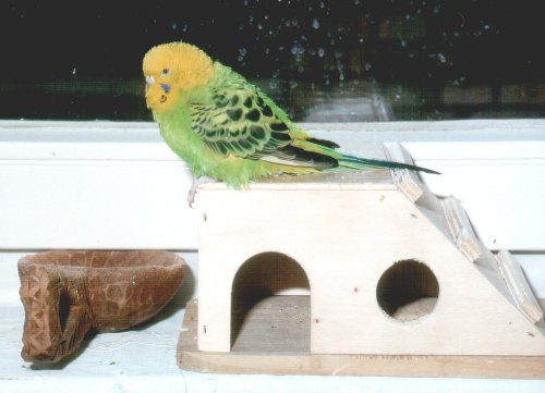 Samstags Lieblingsplatz