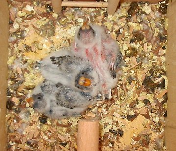 Friedlich, aber interessiert