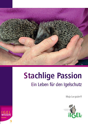 Ballett - und dann?